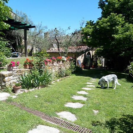 Villa Casa Mezzuola Agriturismo Greve in Chianti Exterior foto