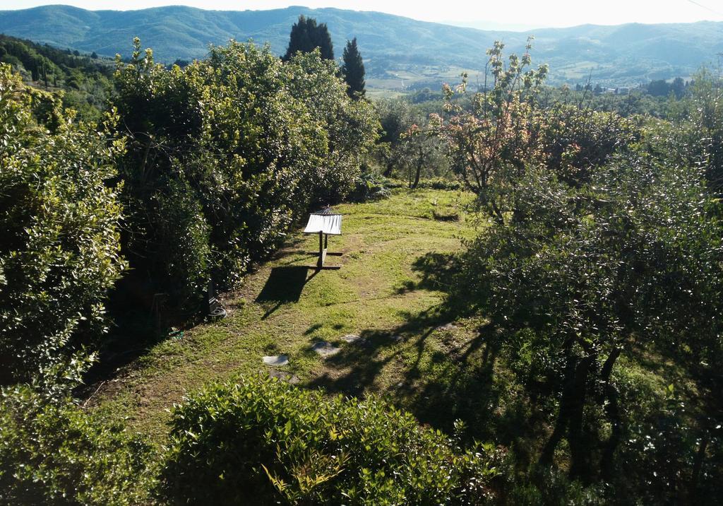 Villa Casa Mezzuola Agriturismo Greve in Chianti Exterior foto