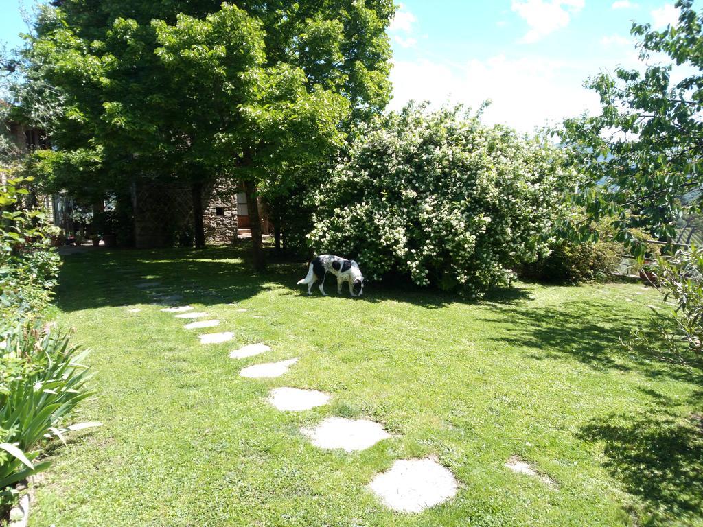 Villa Casa Mezzuola Agriturismo Greve in Chianti Exterior foto