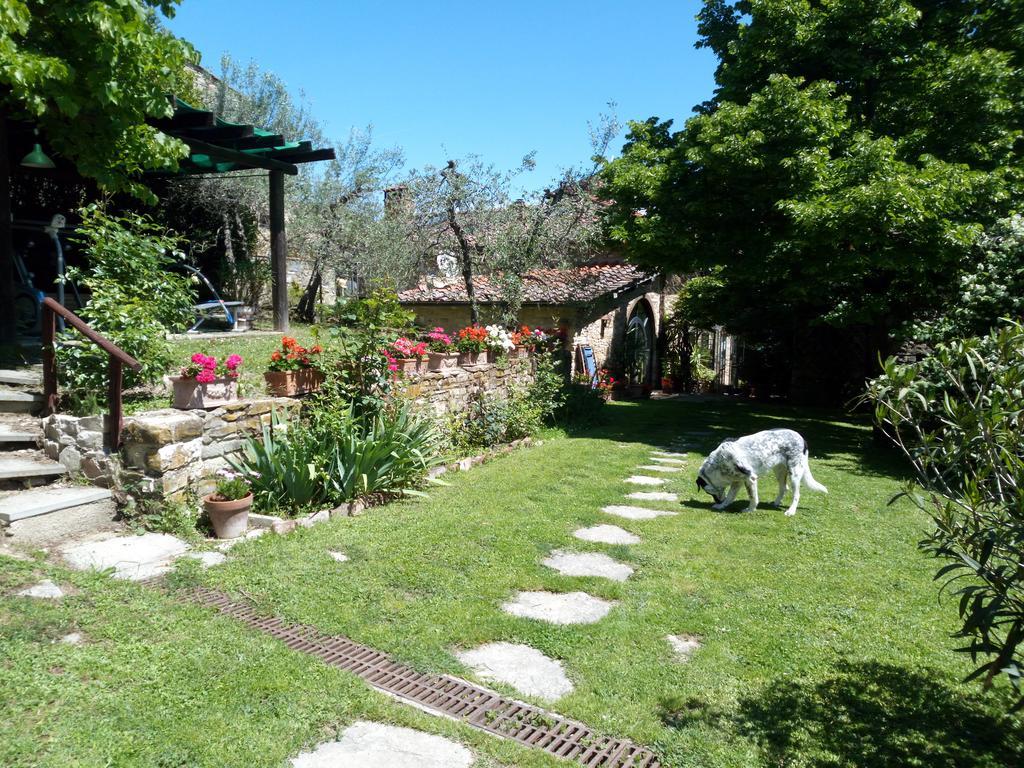 Villa Casa Mezzuola Agriturismo Greve in Chianti Exterior foto